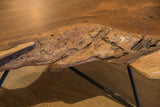 Organic, deeply textured live edge on the handcrafted walnut coffee table.