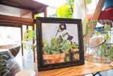 Grace Keogh Potted Flowers painting; dark purple blooms, visible brushstrokes, distressed black frame.