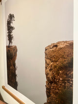Joe Farrell South Rim photograph of a lone tree on a rugged brown cliff.