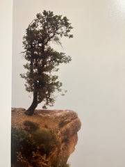 South Rim, Grand Canyon AZ Joe Farrell Color Photograph // ONH Item CT001388 Image 2