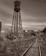 A dramatic black and white photograph of an industrial water tower beside an overgrown railroad line.