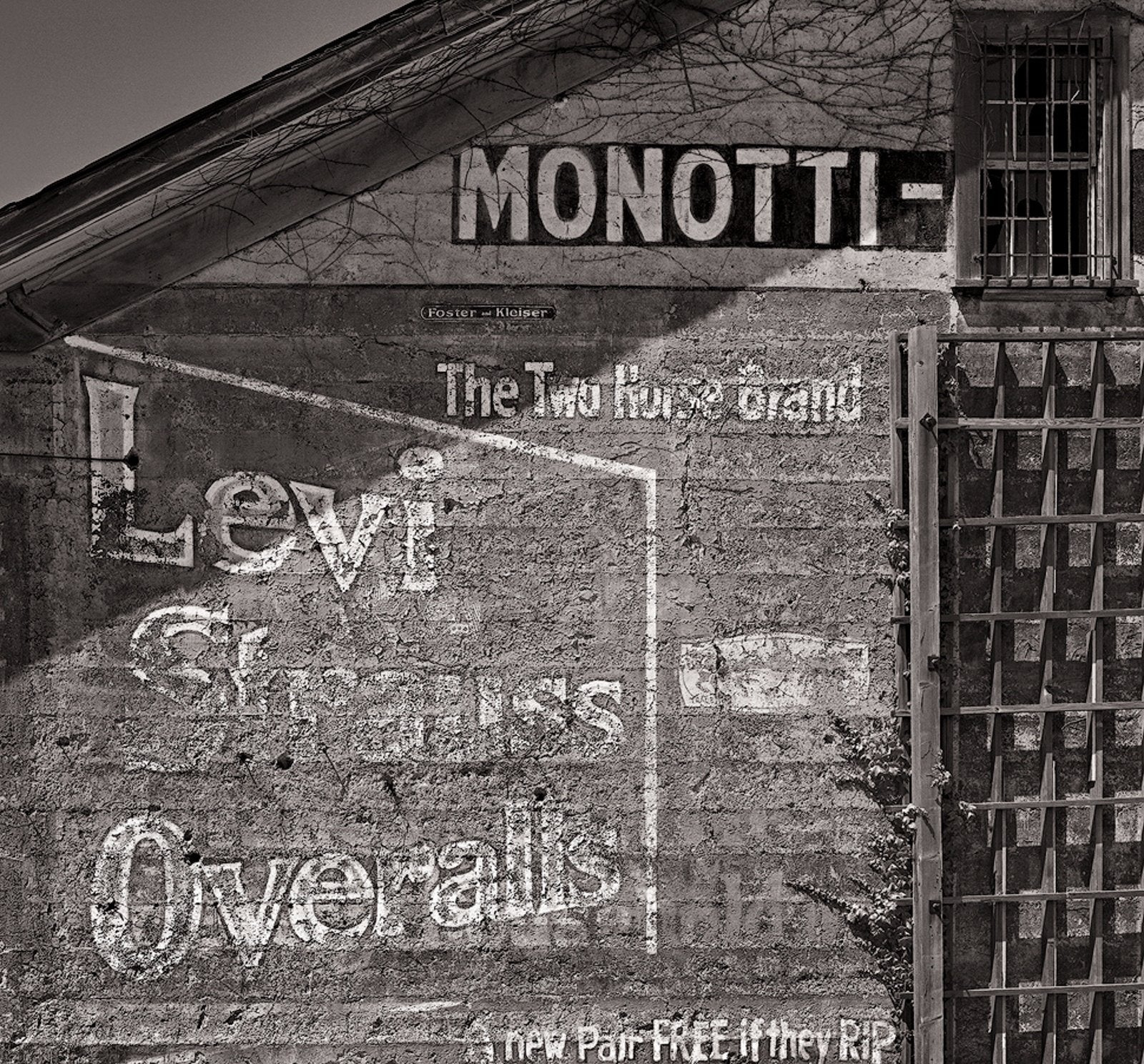 Dilmaghani Black and White Photograph, Dream Tree and Glowing Rock, Audubon, CT