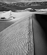 High-contrast photograph showing the textured ridge of a sand dune against its smooth, dark shadow.