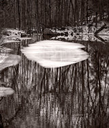 The photograph's composition shows tree reflections rippling in dark water around a central ice floe.
