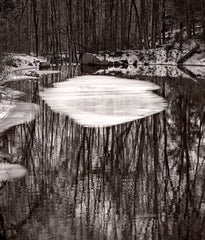 Dilmaghani Black and White Photograph, Tree Reflections, Ice on Pond, CT