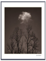 Black and white photograph of bare tree silhouettes reaching toward a single cloud against a dark sky.