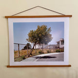 Joe Farrell's Leaning Tree photograph hung on a wall with a wood poster hanger.