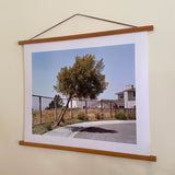 Joe Farrell's Leaning Tree photograph displayed in a wood poster hanger against a plain wall.