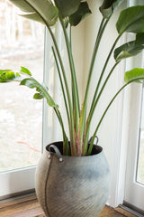 Recycled rubber basket's dark gray top edge, sturdy handle, and distinctive tire tread.