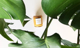 Bright orange Sweet Clementine soy candle in glass jar with cork lid, framed by green leaves.