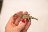 A hand holding a small, oxidized bronze crocodile and fish gold weight.
