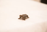 Collectible vintage bronze turtle sculpture with spiral shell spots and dark patina.