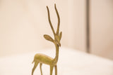 Detailed view of the bronze gazelle's head, elegant horns, and light green patina.