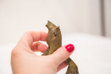 Ashanti bronze lion gold weight head with greenish patina, held by hand with red nails.