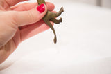 Close-up of handmade bronze lion sculpture's legs and tail with light green patina.