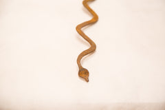 Vintage Iron Snake One Of A Kind