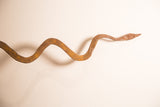 Close-up of the vintage iron snake's undulating body, showing its rustic, handmade texture.