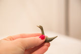 Small vintage bronze African duck sculpture with aged patina, held by hand.