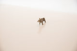 Collectible mini bronze hippo sculpture seen from a distance to show scale.