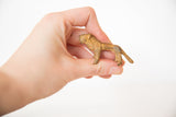 Vintage mini bronze lion with a rusty patina held in hand to demonstrate scale.