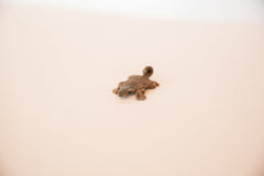 Vintage African Copper Turtle Pendant // ONH Item ab00439 Image 4