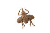 Vintage African oversized bronze insect sculpture with aged patina and textured finish.