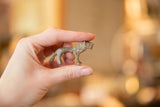 Vintage bronze mini lion held in hand to show its petite, collectible scale.