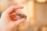 A hand holding the small vintage bronze hippo to illustrate its tiny size.