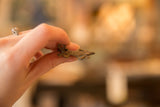 A vintage African bronze lizard pendant held in hand, showing its size and texture.