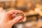 Small vintage bronze turtle pendant with a floral patterned shell held between fingers.