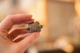 Collector's African bronze turtle pendant held, highlighting its flower shell and aged patina.