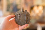 Vintage African bronze gecko medallion held in hand to show its size and patina.