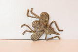 Profile view of a handmade bronze insect with a dark, oxidized finish and textured details.