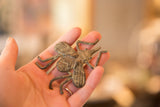 Vintage bronze insect sculpture held in a hand to show its scale and dark oxidized patina.