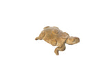 Vintage African bronze turtle sculpture with a matte oxidized finish and spiral shell details.