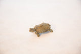 Angled view of a vintage bronze turtle showing its spotted shell and handmade texture.