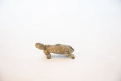 Vintage African Oxidized Bronze Spotted Turtle // ONH Item ab00483 Image 2