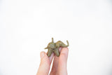 Vintage bronze elephant pendant held in hand, showing its scale and coiled wire design.