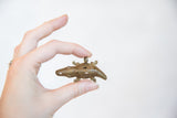 Hand holding the vintage African bronze crocodile pendant, revealing its textured wire design.