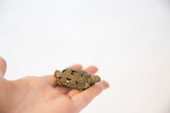 Vintage African Large Bronze Wire Design Turtle Pendant // ONH Item ab00535 Image 5