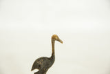 Profile view of the aged bronze ostrich head highlighting its handmade texture.