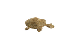 Vintage African Bronze Circle Back Design Turtle // ONH Item ab00587