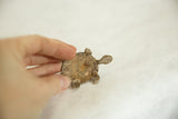 Vintage African bronze turtle's textured back, highlighting its aged finish.