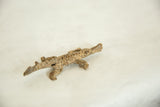 Textured back of vintage African bronze crocodile, showing light patina and scaled detail.