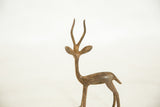 Aged patina and handmade texture on the head of a vintage bronze gazelle.