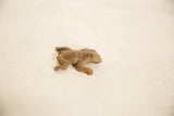 Three-quarter view of the small bronze frog collectible showing its aged patina.