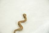 Detailed view of the sculpted head and striped texture on the vintage bronze snake.