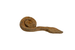 Vintage African Iron Coiled Reaching Snake // ONH Item ab00634