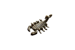 Vintage African Dark Bronze Scorpion Pendant // ONH Item ab00647