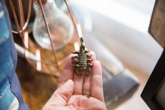 Vintage African Dark Bronze Scorpion Pendant // ONH Item ab00647 Image 1